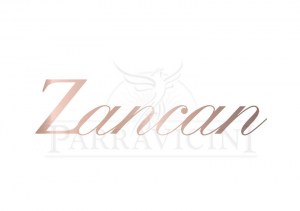 logo-zancan