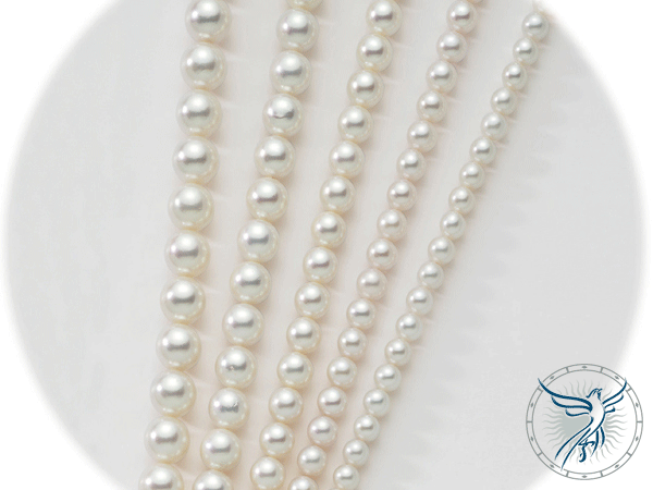 Miluna Filo di perle con chiusura in oro bianco 1MPU75840nl476